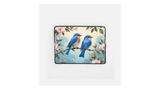 Elysian Songbird Haven